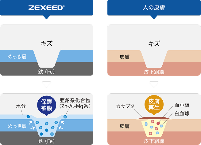 ZEXEED